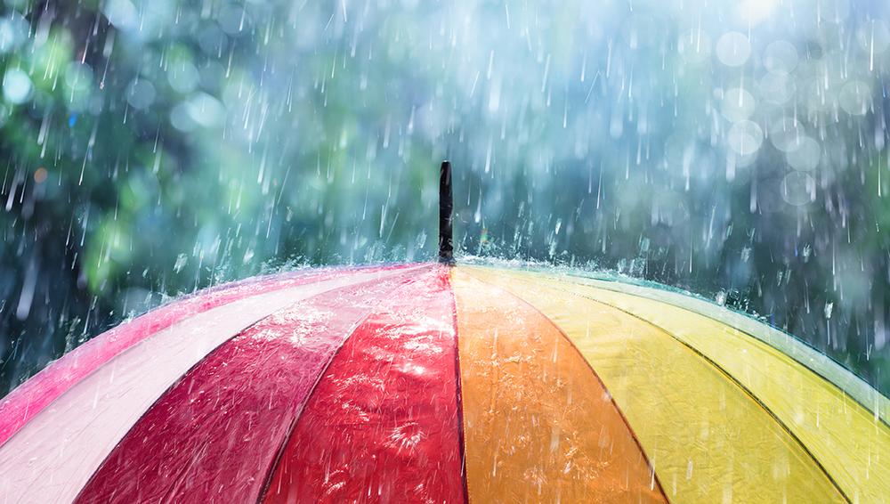 Umbrella in rain